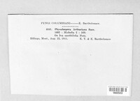 Image Associated With the Occurence